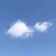 はなの画像