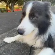 りょー