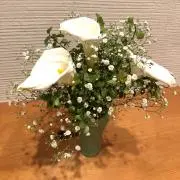 あさひの画像