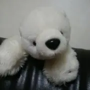 アラレちゃん