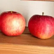 しゅふしゅふ