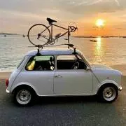 ダリアの画像