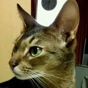 くに