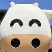 人妻の二の腕に挟まれたいの画像