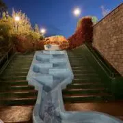 ミスミの画像