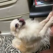 てるみ