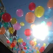 ★Nnプロフご確認下さい★の画像