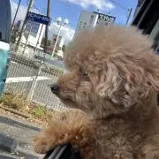 かんきち