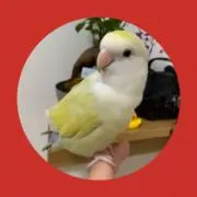 福