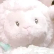 はむの画像
