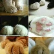 ひろ