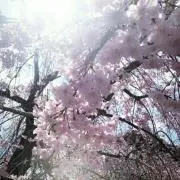 ♥らいむぎ♥の画像