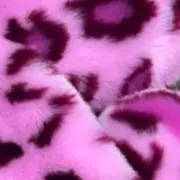 カイリ【⚠︎プロフ必須】