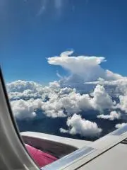 まる