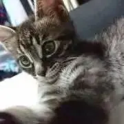 みいちゃんの画像