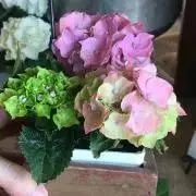 ばぼ