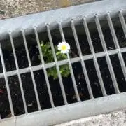 6340の画像