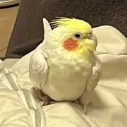 Image of すず　即購入OK‼️