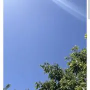 すとーんの画像