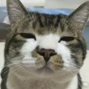 北月三由の画像