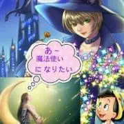 司