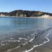 カルの画像