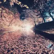 桃子