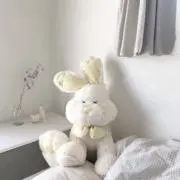 ののの画像