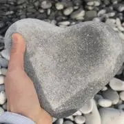 はるさめ。