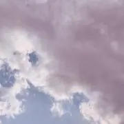 シマの画像