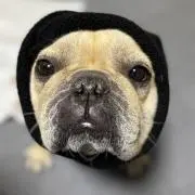 みーちゃんの画像