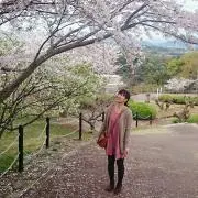 あんの画像