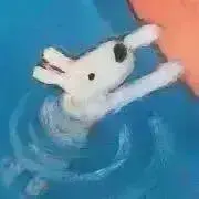 プミポンの画像