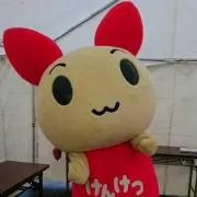 ぴちの画像