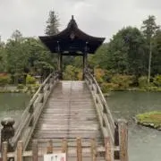 まっさんの画像