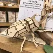 AYU('-'*)の画像