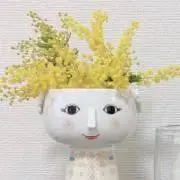 うりの画像