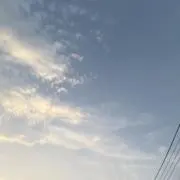 lily購入前は要プロフ確認の画像