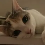 バロン