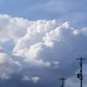 わたか