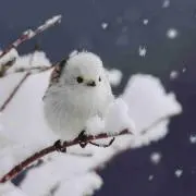 sanagiの画像