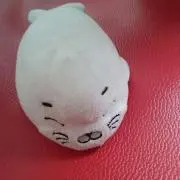 ロンルパ