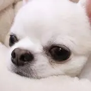 ku0301の画像