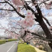 らっきー