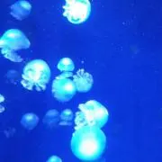 N（断捨離中）の画像