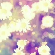 Asterの画像