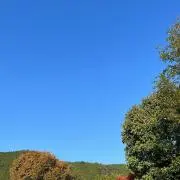 aの画像