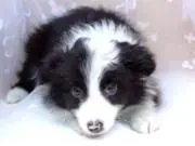 いまの画像