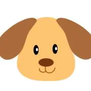 Sutaの画像
