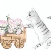 つきみそうの画像